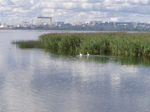 Trasa nr 5 - rejsy Szczecińska Wenecja, Stare dźwigi portowe