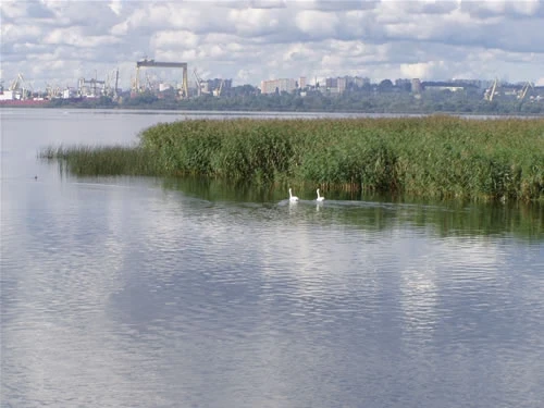 Trasa nr 5 - rejsy Szczecińska Wenecja, Stare dźwigi portowe